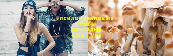 МДПВ Алексин