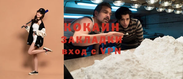 МДПВ Алексин