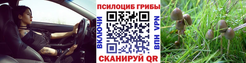 Галлюциногенные грибы мицелий  наркошоп  Белая Холуница 